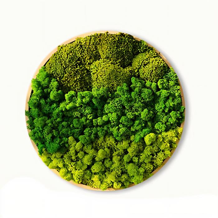 Moss Wall Art