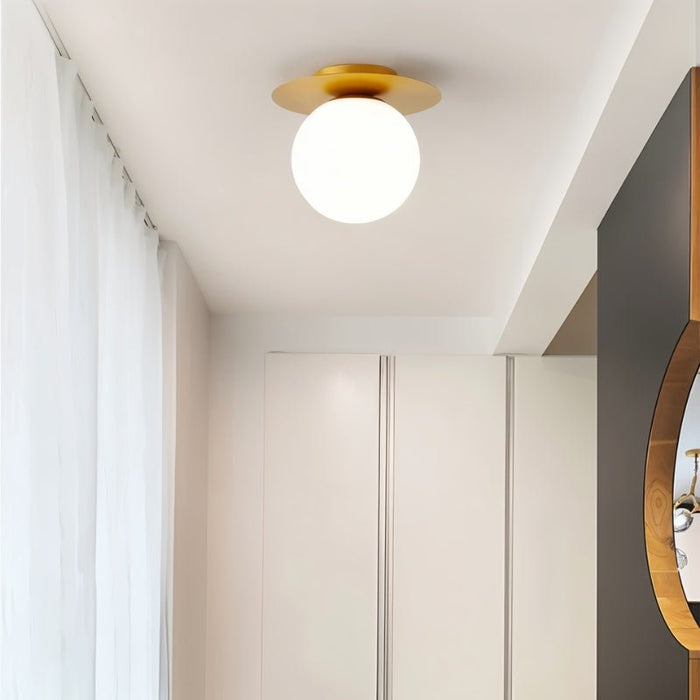 Alkura Ceiling Light - Contemporary Lighting