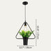 Alzahra Pendant Light - Residence Supply