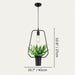 Alzahra Pendant Light - Residence Supply