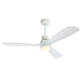 Crafted with modern design and superior functionality, the Anemone Ceiling Fan features sleek blades and a contemporary silhouette that complements various interior styles.