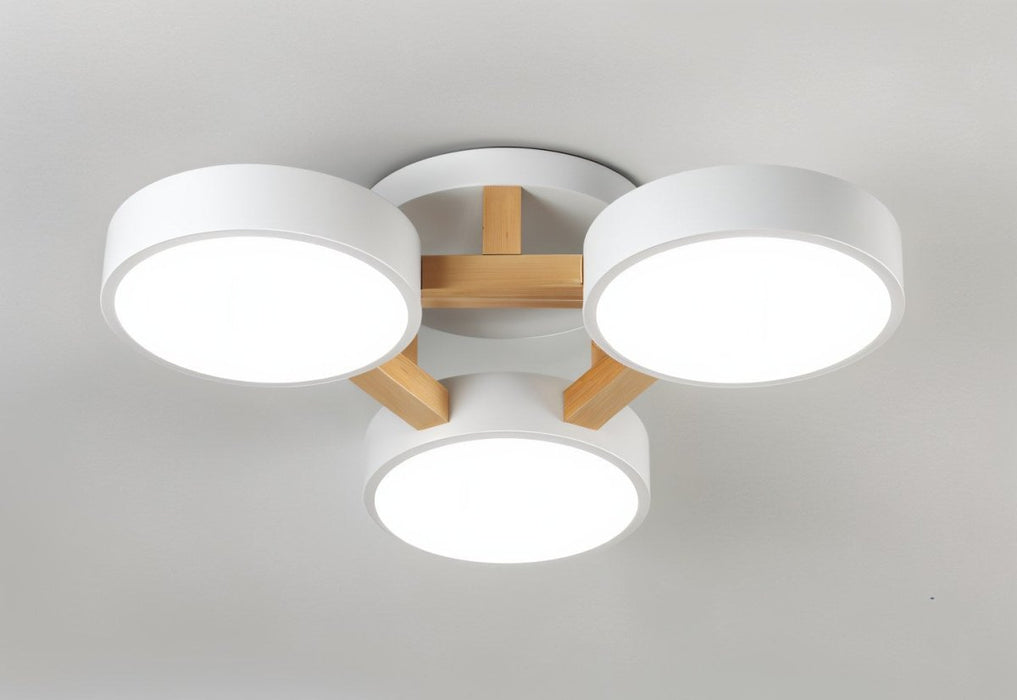 Ashane Ceiling Light - Residence Supply