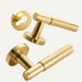 Asper Handle and Lock - Residence Supply