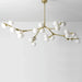 Astraia Chandelier Light - Residence Supply