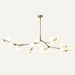 Astraia Chandelier Light - Residence Supply