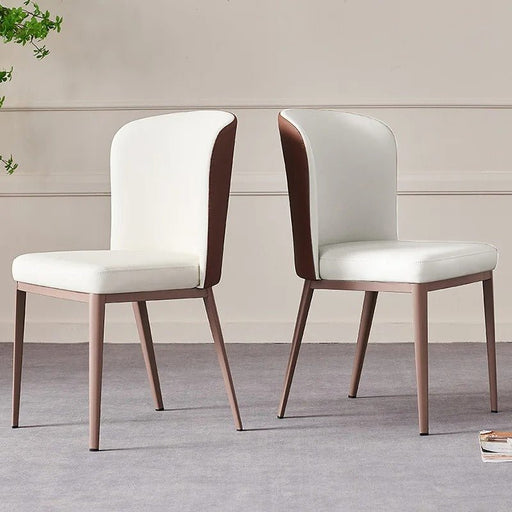 Unique Ataraxia Dining Chair