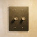 Brass Rotary Dimmer Switch (2-Gang) - Residence Supply