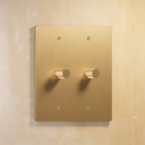 Brass Rotary Dimmer Switch (2-Gang) - Residence Supply