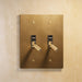 Brass Toggle Switch (2-Gang) - Residence Supply