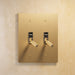 Brass Toggle Switch (2-Gang) - Open Box - Residence Supply