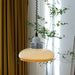 Carol Pendant Light - Contemporary Light Fixtures