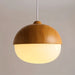 Castanea Pendant Light - Residence Supply