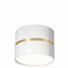 Chamani Downlight - Residence Supply