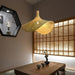 Ciora Pendant Light - Residence Supply