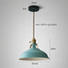 Color Block Shade Pendant Light - Residence Supply