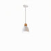 Colorato Pendant Light - Residence Supply