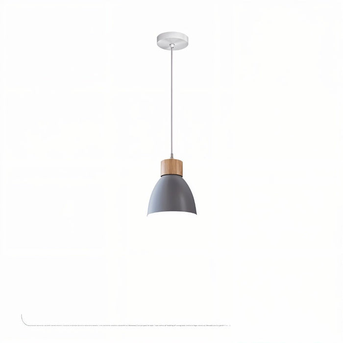 Colorato Pendant Light - Residence Supply