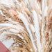 Cortaderia Pampas Grass Bouquet - Residence Supply