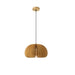 Cucurbita Pendant Light - Residence Supply