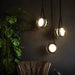 Cutis Pendant Light - Light Fixtures