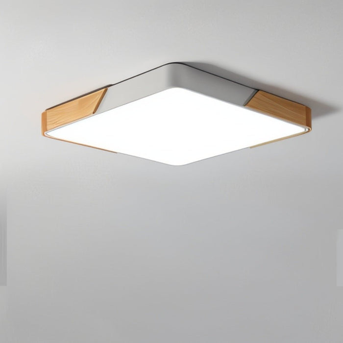 Delphi Ceiling Light - Light Fixtures