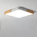 Delphi Ceiling Light - Light Fixtures