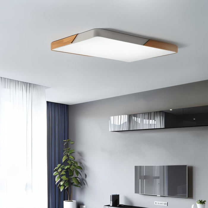 Delphi Ceiling Light - Living Room Lighting