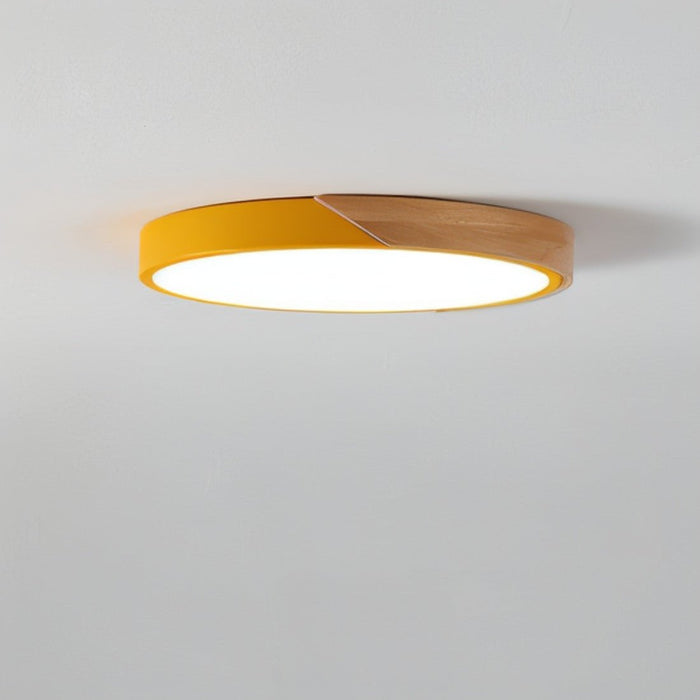 Delphi Ceiling Light - Residence Supply