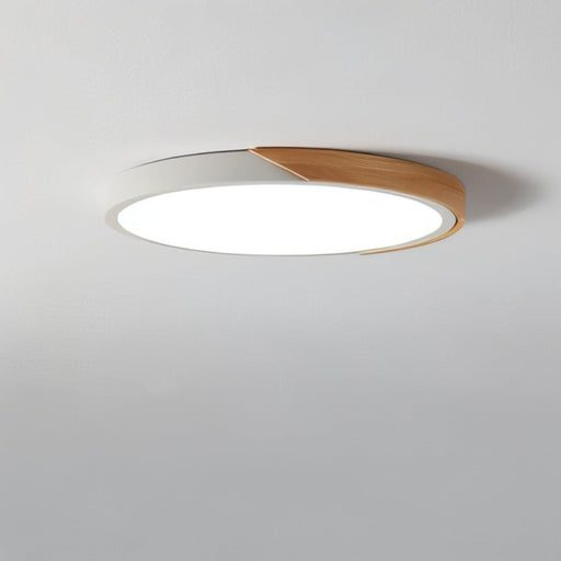 Delphi Ceiling Light - Open Box - Residence Supply