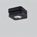 Deltha Downlight - Residence Supply