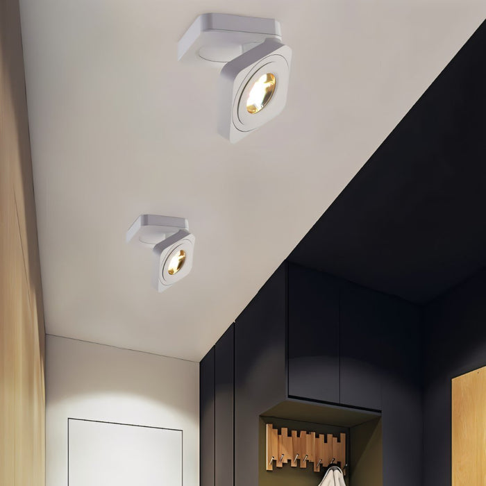 Deltha Downlight - Contemporary Lighting