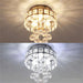 Elane Ceiling Light For Home