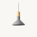 Enclo Pendant Light - Residence Supply