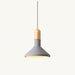 Enclo Pendant Light - Residence Supply