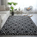 Best Hasvi Area Rug