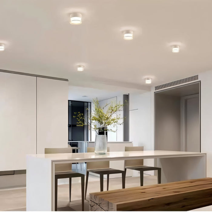 Ian Downlight - Modern Lighting Fixture