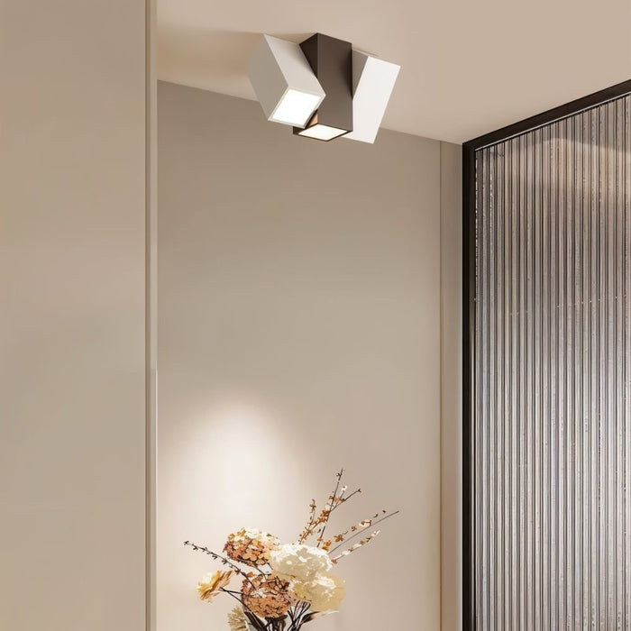 Kashaf Ceiling Light - Contemporary Lighting