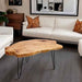 Kesha Coffee Table - Residence Supply