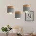 Laetus Pendant Light - Modern Lighting for Office