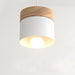 Laetus Pendant Light - Residence Supply