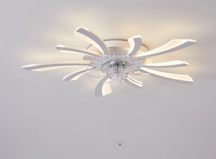 Lill Ceiling Light & Fan - Residence Supply