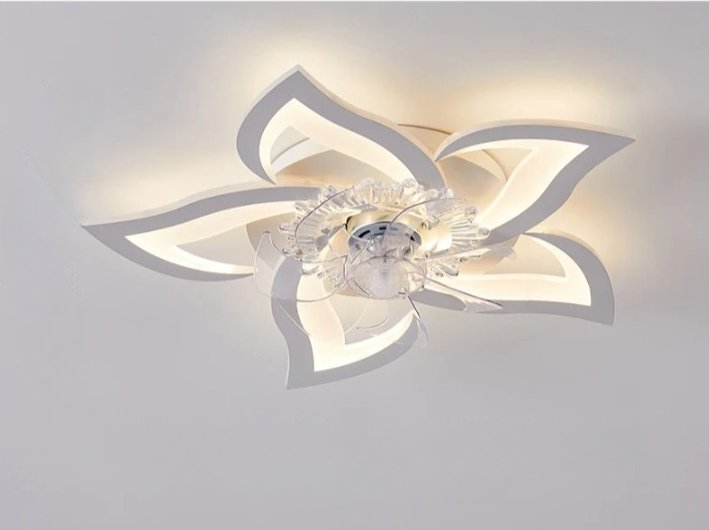 Lill Ceiling Light & Fan - Residence Supply