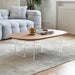 Elegant Lucidu Coffee Table