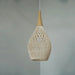 Lychnos Pendant Light - Residence Supply