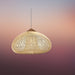 Lychnos Pendant Light - Residence Supply