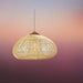 Lychnos Pendant Light - Residence Supply