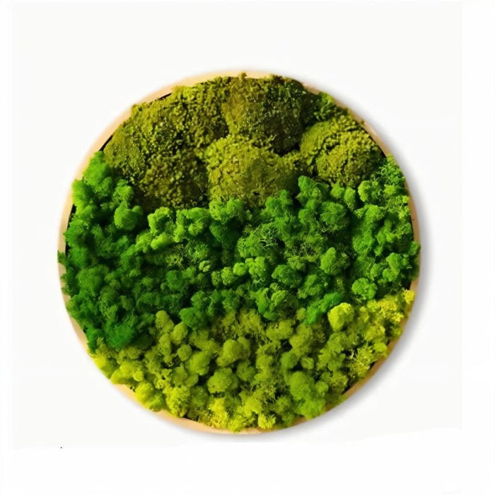 Moss Wall Art - Residence Supply