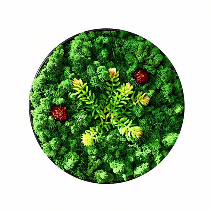 Moss Wall Art - Residence Supply