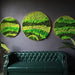 Moss Wall Art - Residence Supply