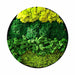 Moss Wall Art - Residence Supply